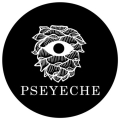 PsEYEche