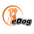 eDog