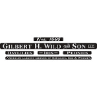 gilbert h wild & son