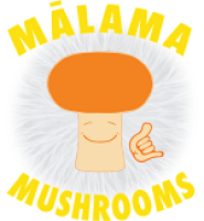 malama mushrooms