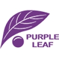 purple leaf